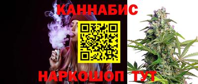 стаф Кунгур